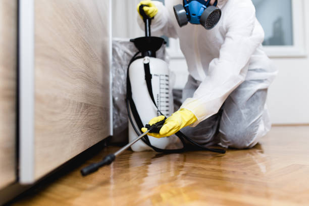 Trusted Midland, NC Pest Control Experts