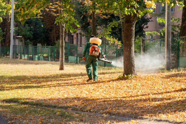 Best Insect Control  in Midland, NC