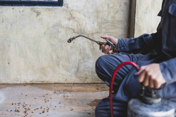 Best Best Pest Control Companies  in Midland, NC